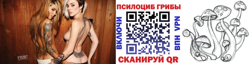 Галлюциногенные грибы мухоморы  где купить наркотик  Вуктыл 